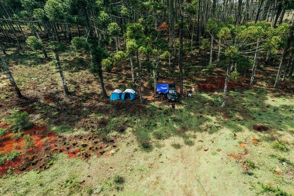 Discover the Rhythms: Your Comprehensive Guide to Experiencing a Highland Dance Workshop in Inverness