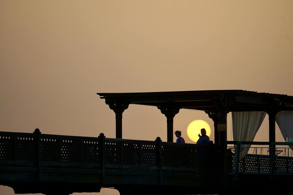 Unveil England's Literary Treasures: Your Ultimate Guide to Booking Guided Tours of Historic UK Libraries